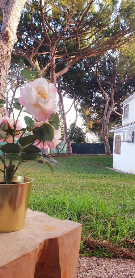 Estudio Na Falesia Albufeira Esterno foto
